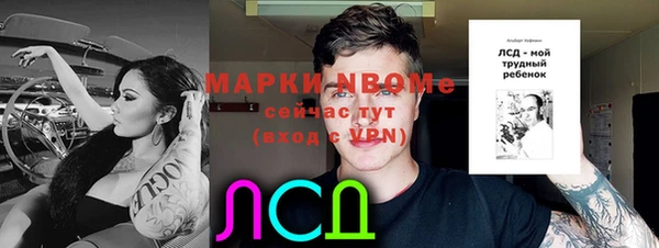 хмурый Снежинск